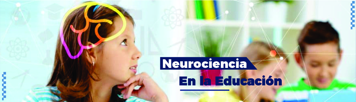 Neurociencia En La Educación